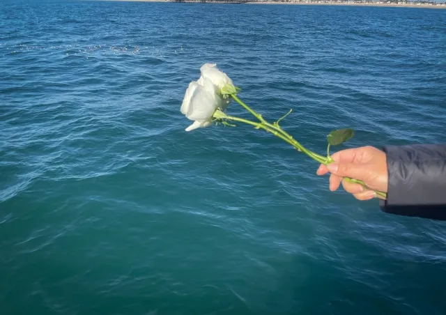 海洋散骨で海にお花を手向けるよ様子の写真